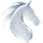 STALLION